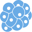 Cells icon
