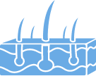 Skin tissue icon