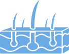 Skin tissue icon