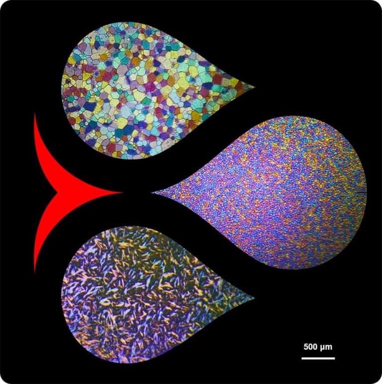 Nice Ice nanoart of antifreeze protein from arctic fish, water crystals, and XT-ViVo peptoid