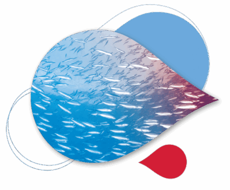 XTherma-Design-Elements-44.png XTherma-Design-Elements-44.png